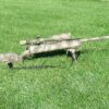 HTR - Heavy Tactical Rifle